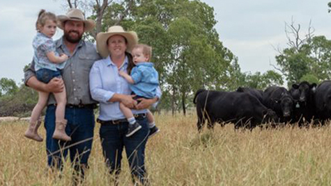 Stanbroke family, New Zealand