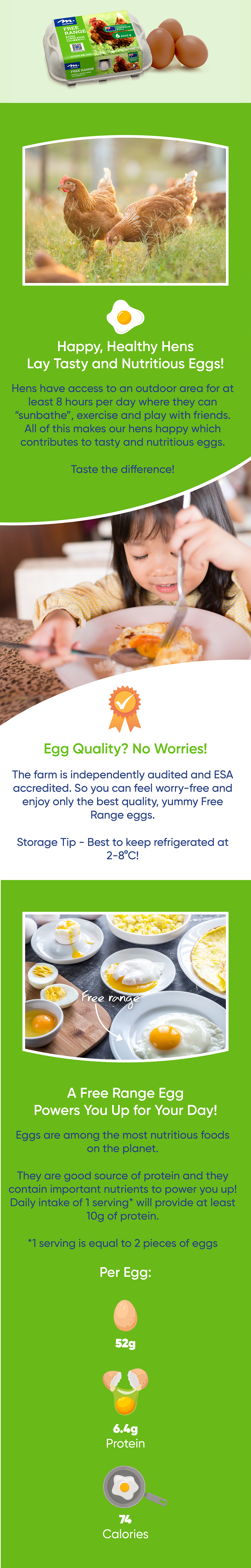 Free Range Eggs